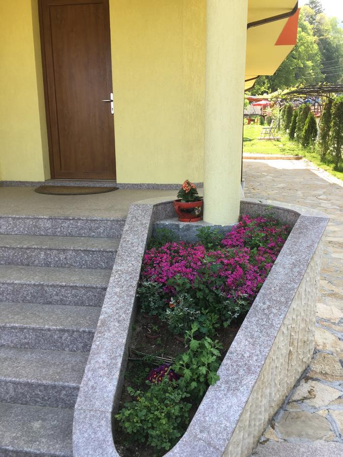 Kot Garden Guest House Sapareva Banya Dış mekan fotoğraf